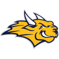 Webster (MO)