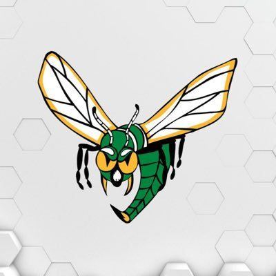 Edina