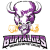 Arkansas Baptist